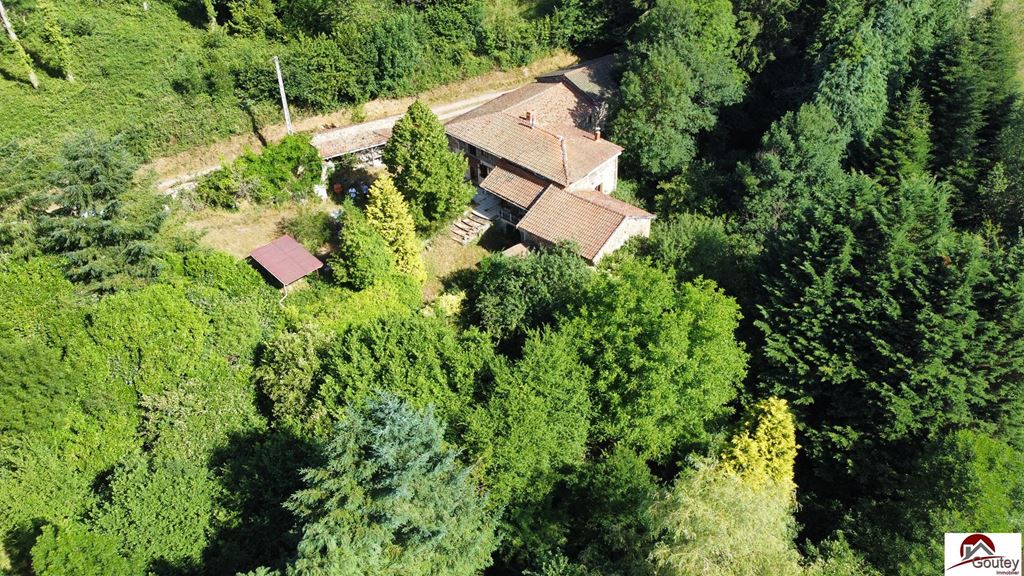 Maison ST JUST EN CHEVALET (42430) Goutey Immobilier