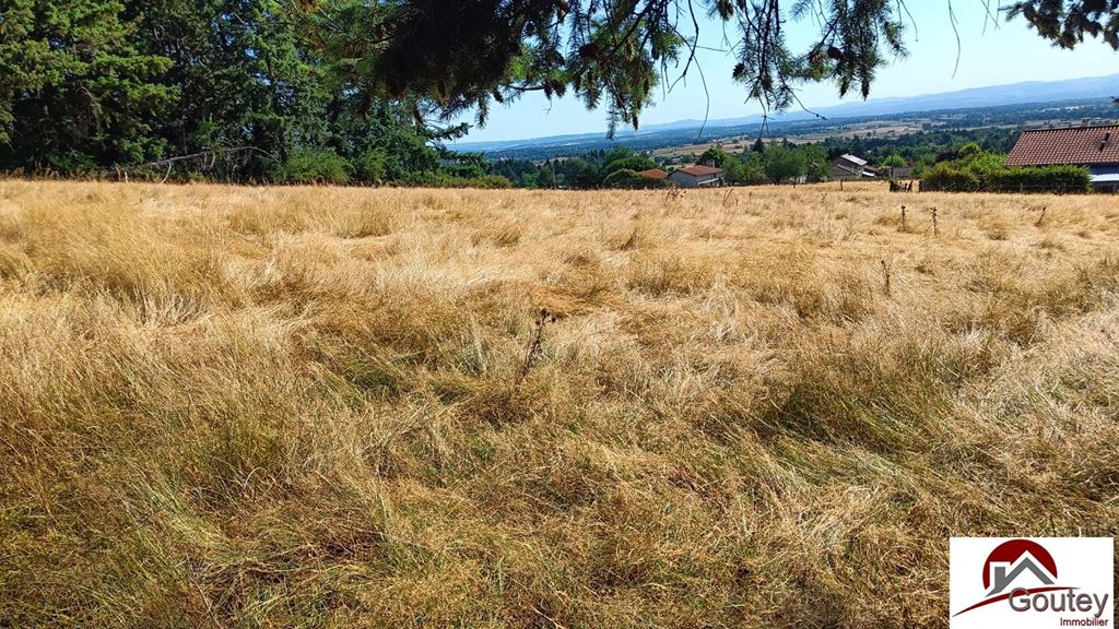 Terrain ST HAON LE CHATEL (42370) Goutey Immobilier