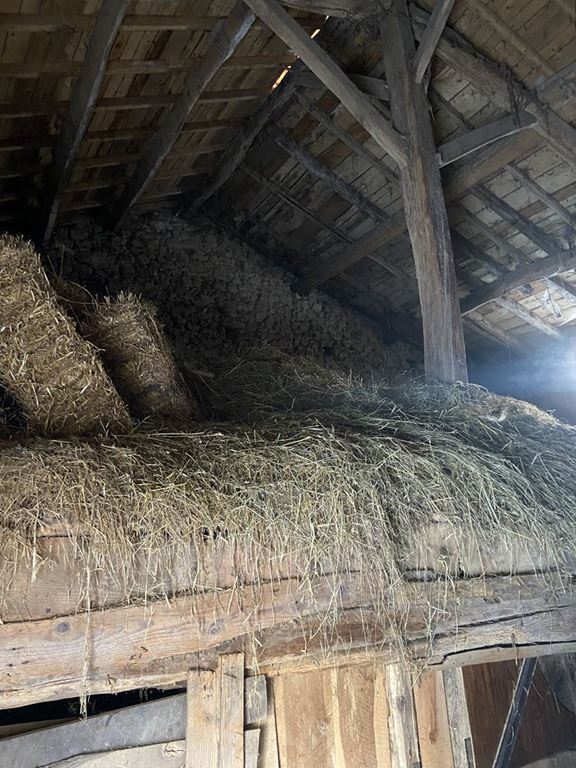 Garage CHATEL MONTAGNE (03250) Goutey Immobilier