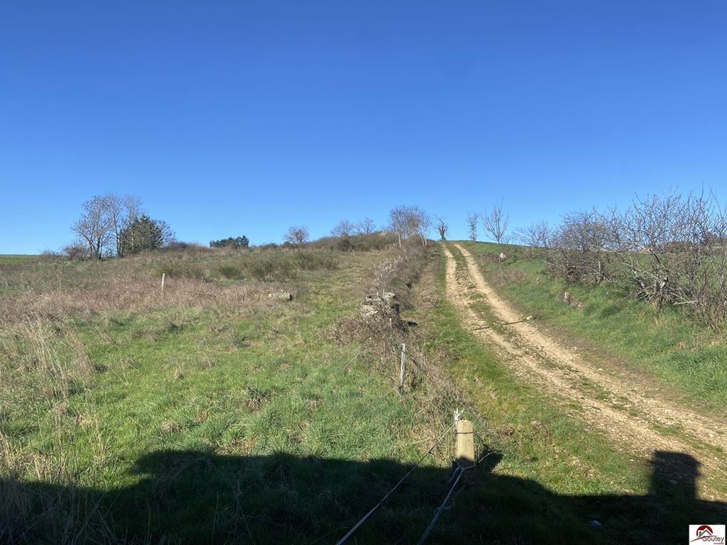 Maison CREMEAUX (42260) Goutey Immobilier