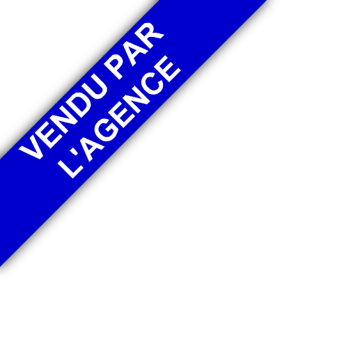 bandeau Goutey Immobilier