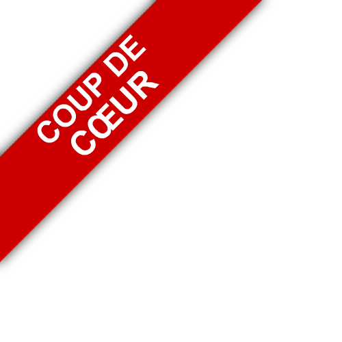 bandeau Goutey Immobilier